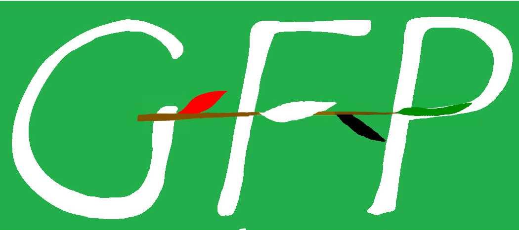 Logo GFP Bern