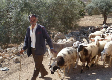 Leben und Besaatzung im Westjordanland